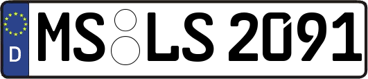 MS-LS2091