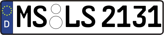 MS-LS2131