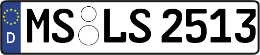 MS-LS2513