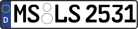 MS-LS2531