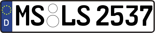 MS-LS2537