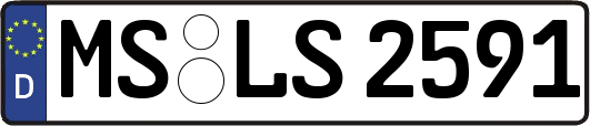 MS-LS2591