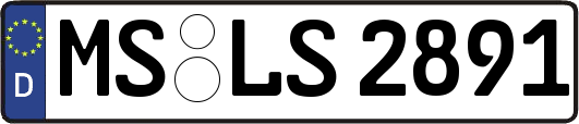 MS-LS2891