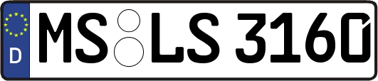 MS-LS3160