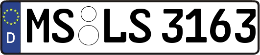 MS-LS3163