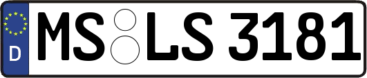 MS-LS3181