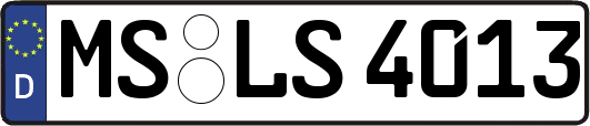 MS-LS4013