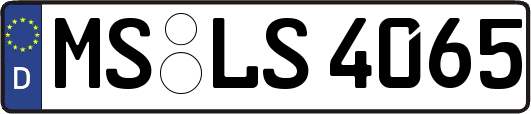 MS-LS4065