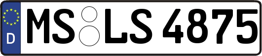 MS-LS4875