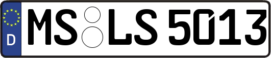 MS-LS5013