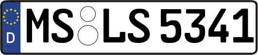 MS-LS5341