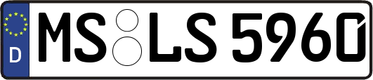 MS-LS5960