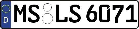 MS-LS6071