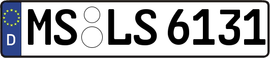 MS-LS6131