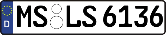 MS-LS6136
