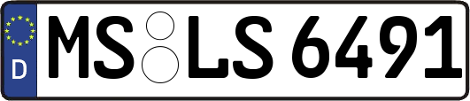 MS-LS6491