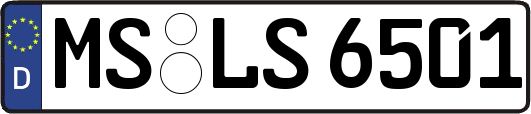 MS-LS6501