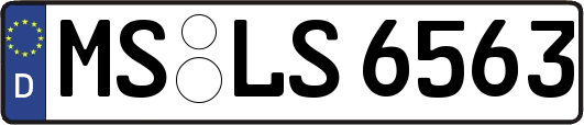 MS-LS6563