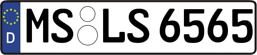 MS-LS6565