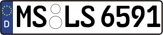 MS-LS6591