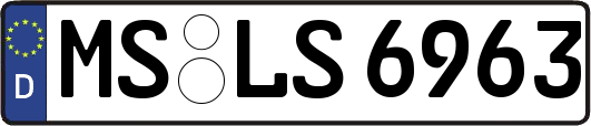MS-LS6963