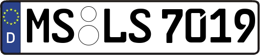 MS-LS7019