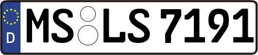 MS-LS7191