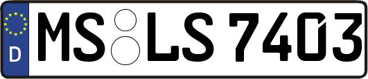 MS-LS7403