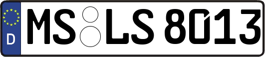 MS-LS8013