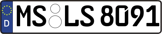 MS-LS8091
