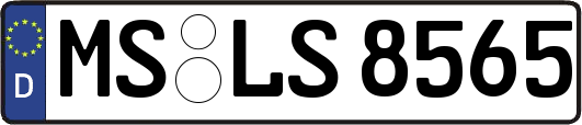 MS-LS8565