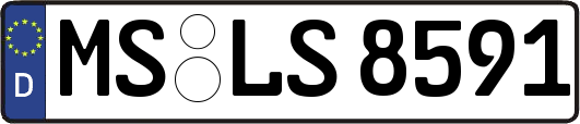 MS-LS8591