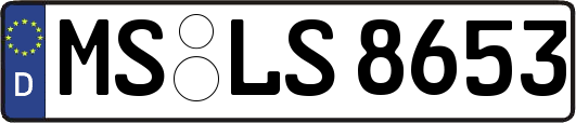MS-LS8653