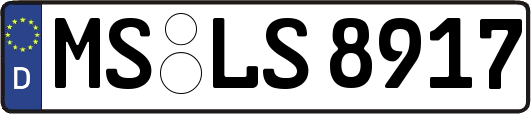 MS-LS8917