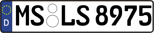 MS-LS8975