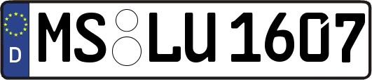 MS-LU1607