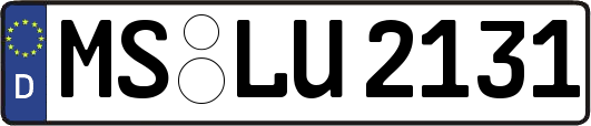 MS-LU2131