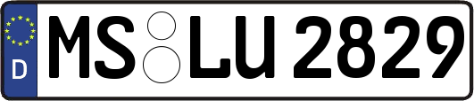 MS-LU2829