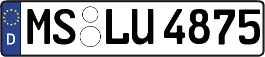 MS-LU4875
