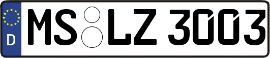 MS-LZ3003