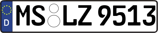 MS-LZ9513