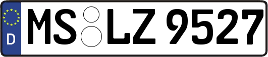 MS-LZ9527
