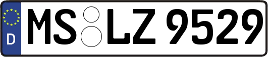 MS-LZ9529