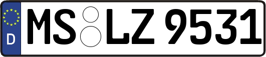 MS-LZ9531