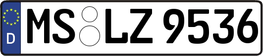 MS-LZ9536