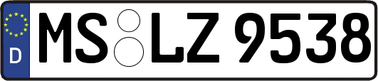 MS-LZ9538