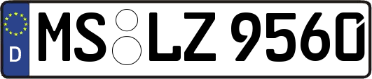 MS-LZ9560