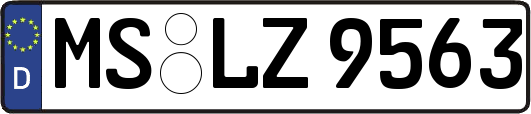 MS-LZ9563