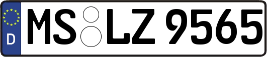 MS-LZ9565