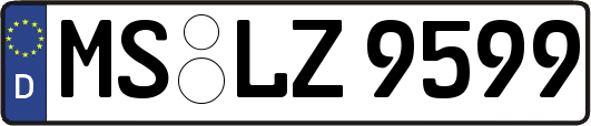 MS-LZ9599